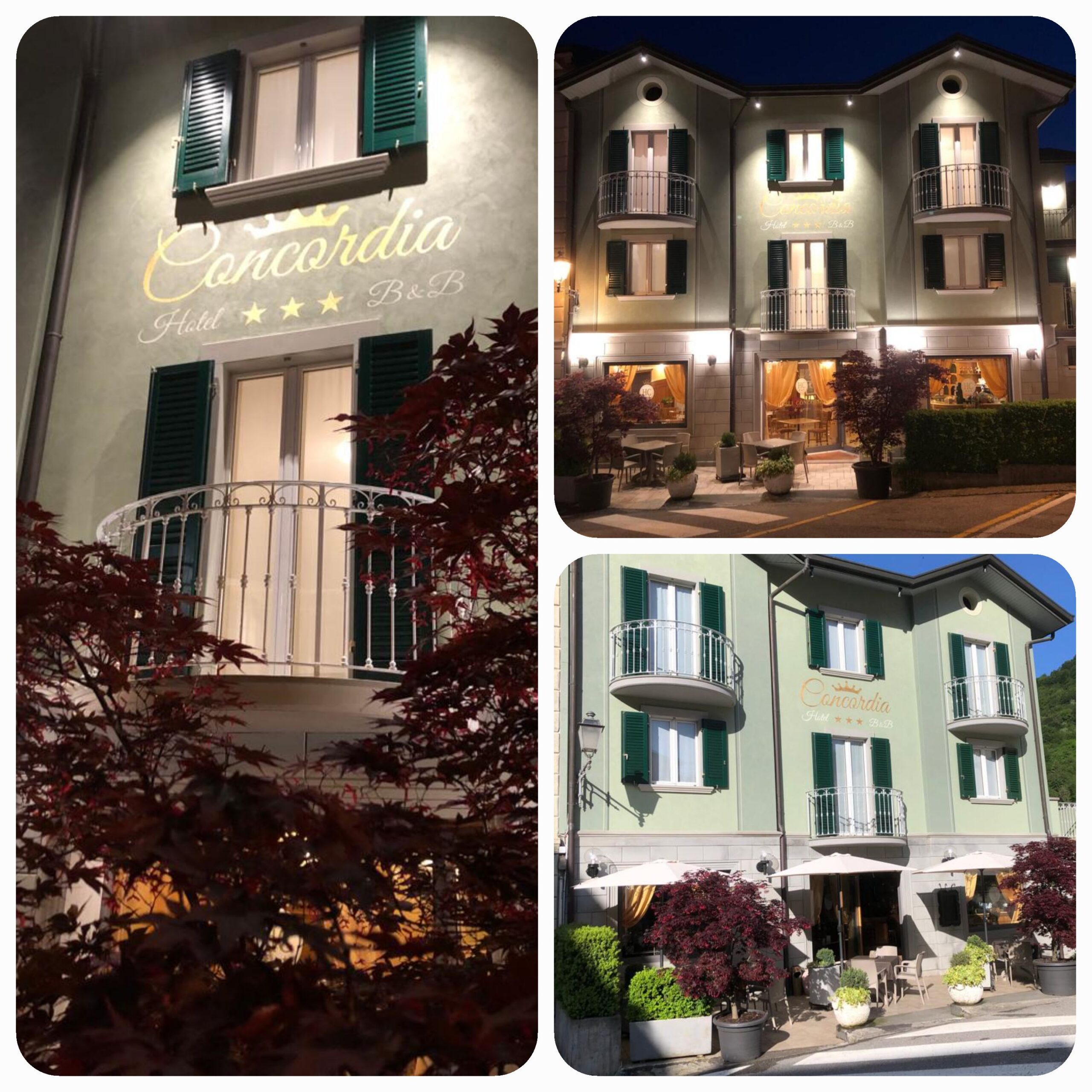 Hotel Concordia - foto 2