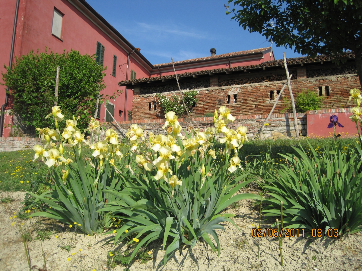 Castello di Luzzano - foto 1
