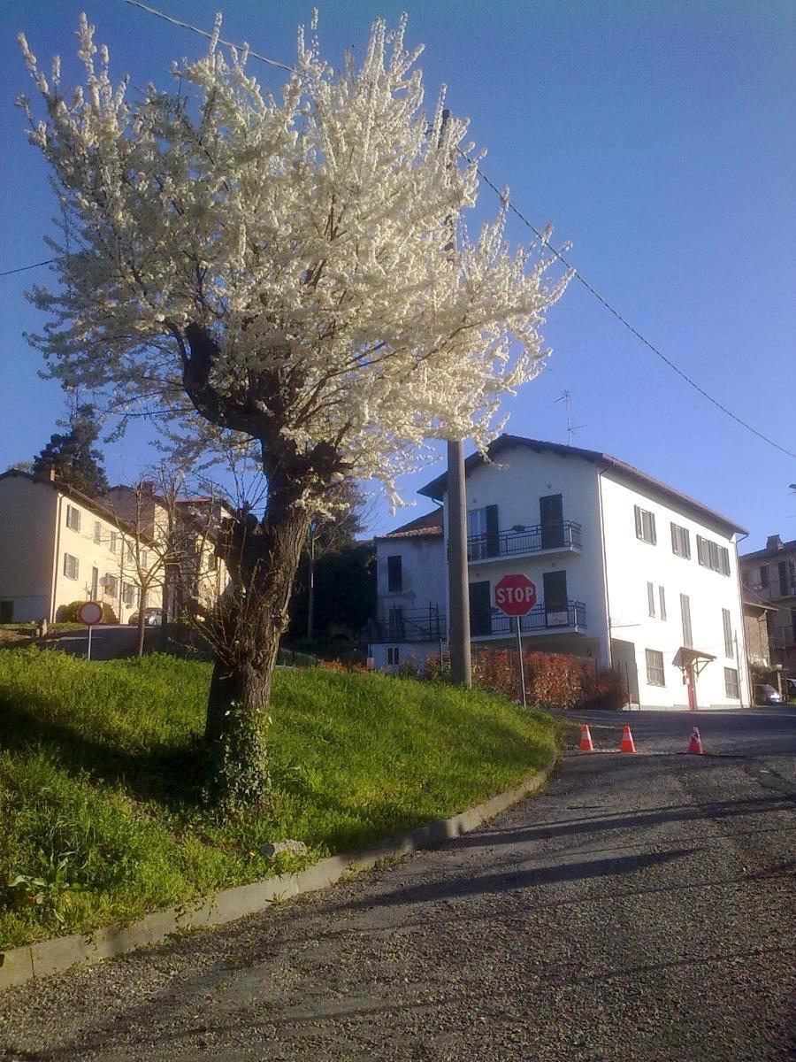B&B Il Pozzo - foto 2