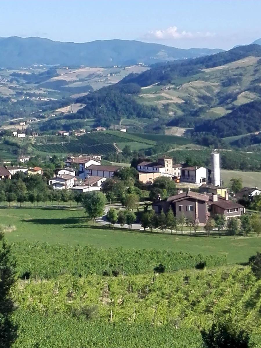 B&B Il Pozzo - foto 3