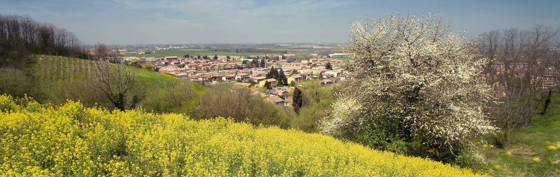 Bed And Breakfast Sforza 19 - foto 1