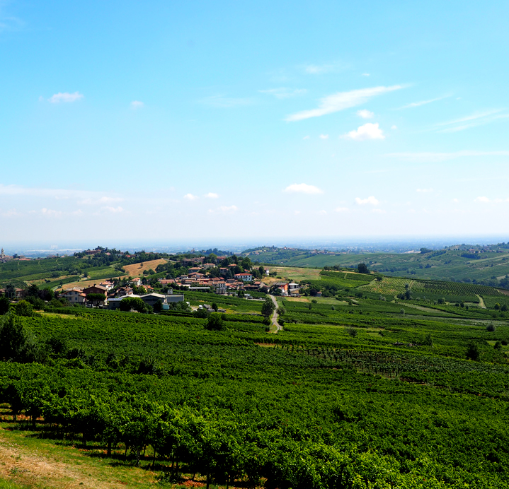 Agriturismo le Tradizioni di Elide - foto 1
