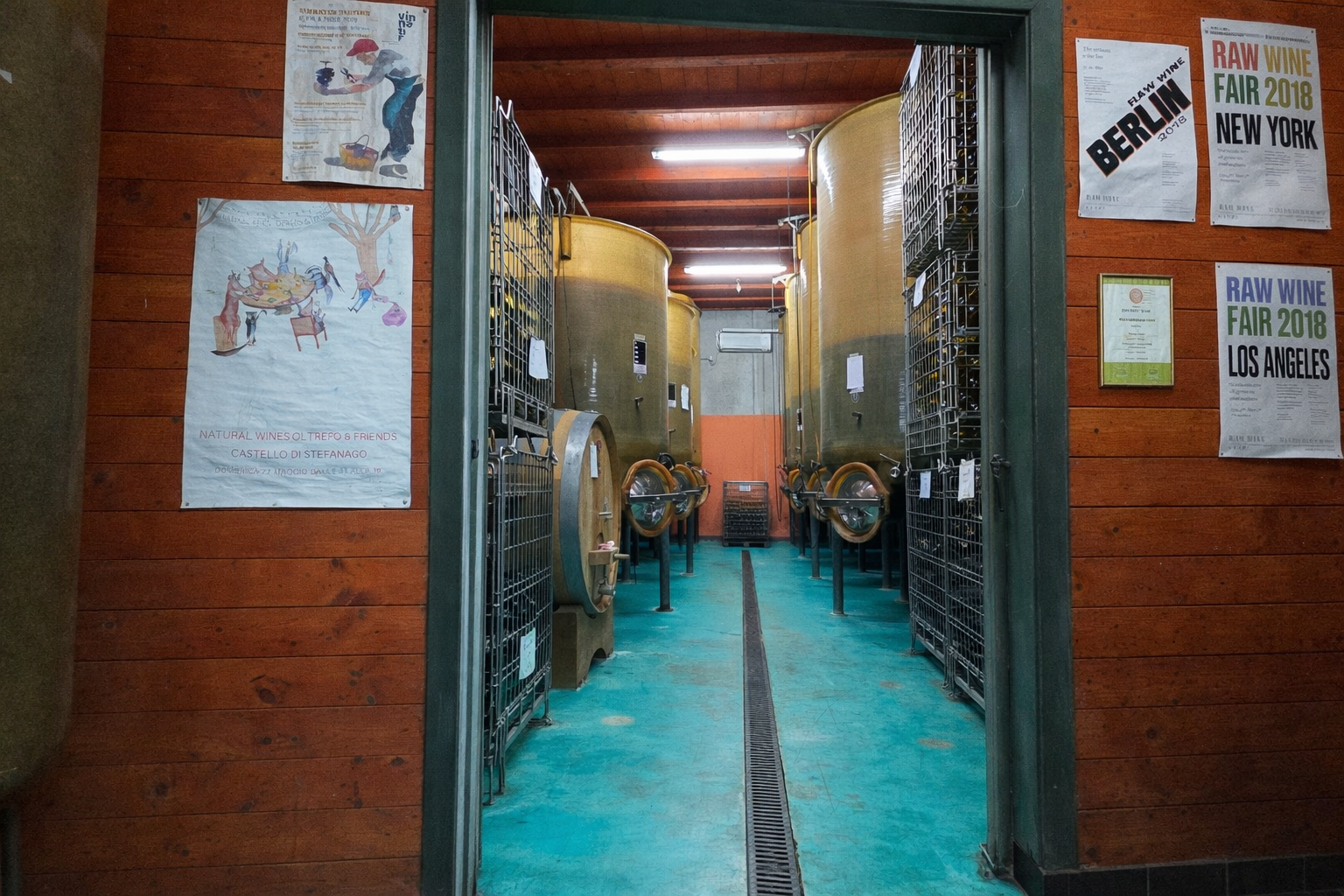 Fattoria Mondo Antico - foto 3