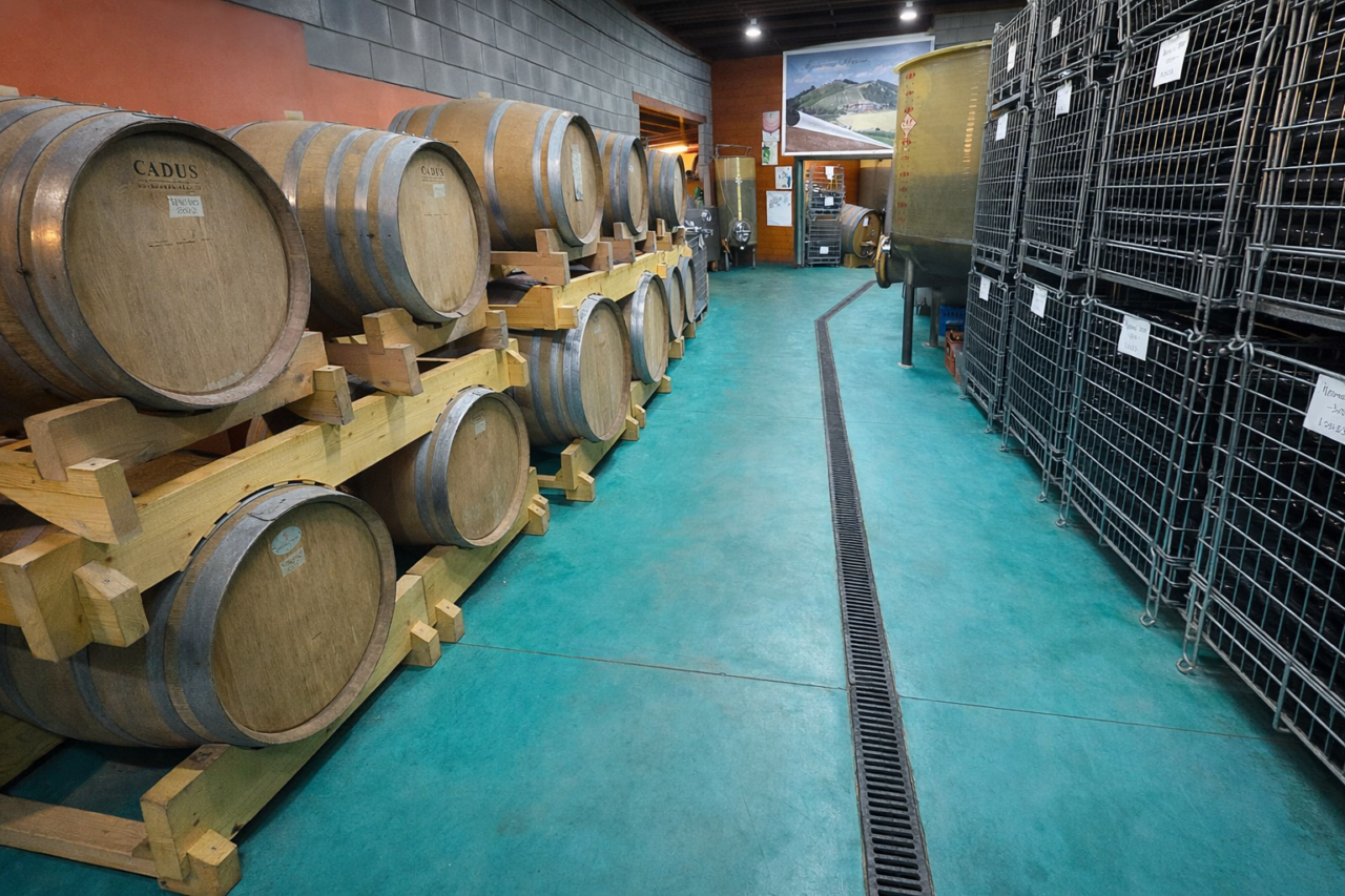 Fattoria Mondo Antico - foto 6