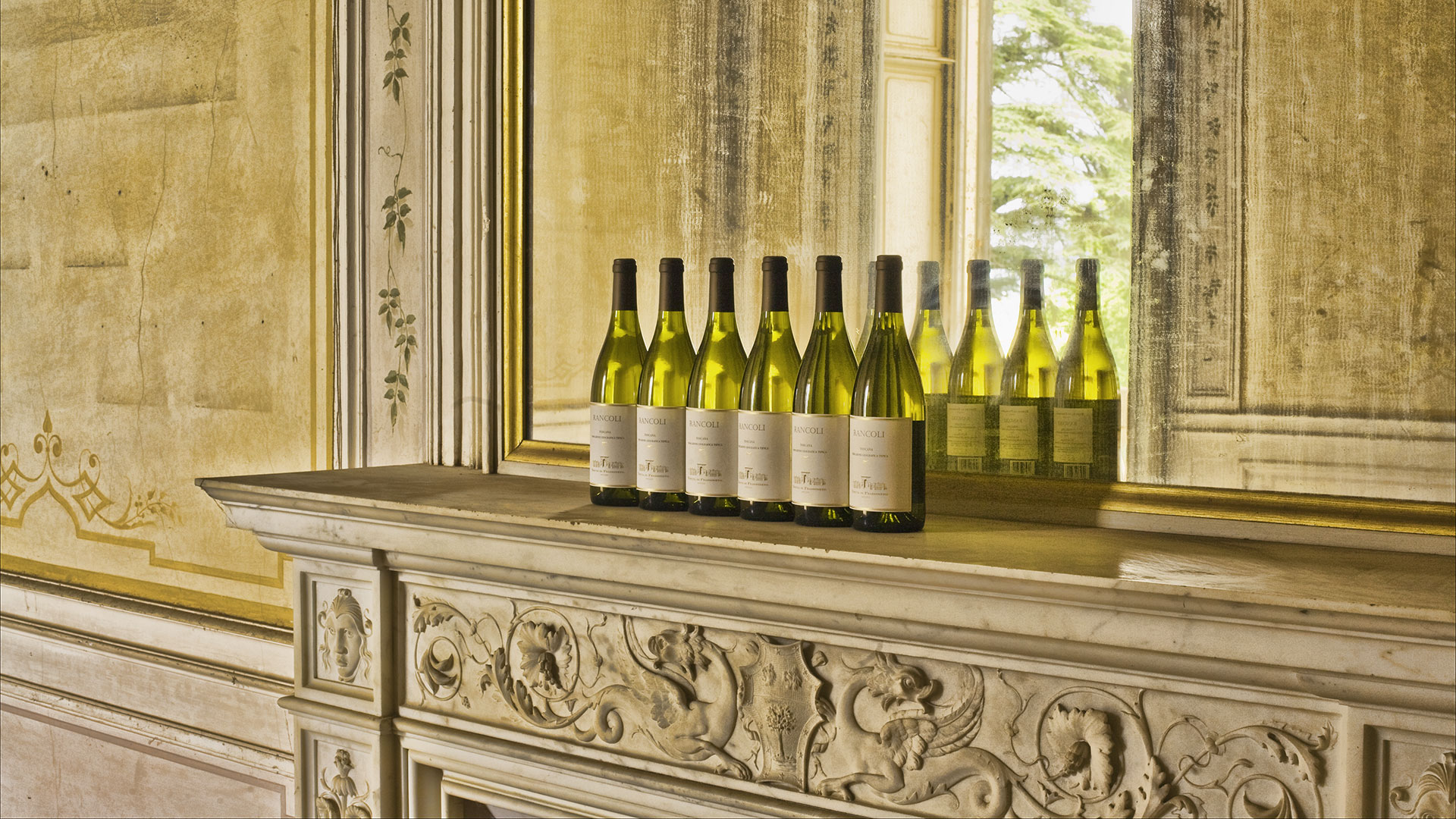 Tenuta di Frassineto - Tuscan Winery / Wine Tasting and shop / Cantina Toscana ad Arezzo - foto 2