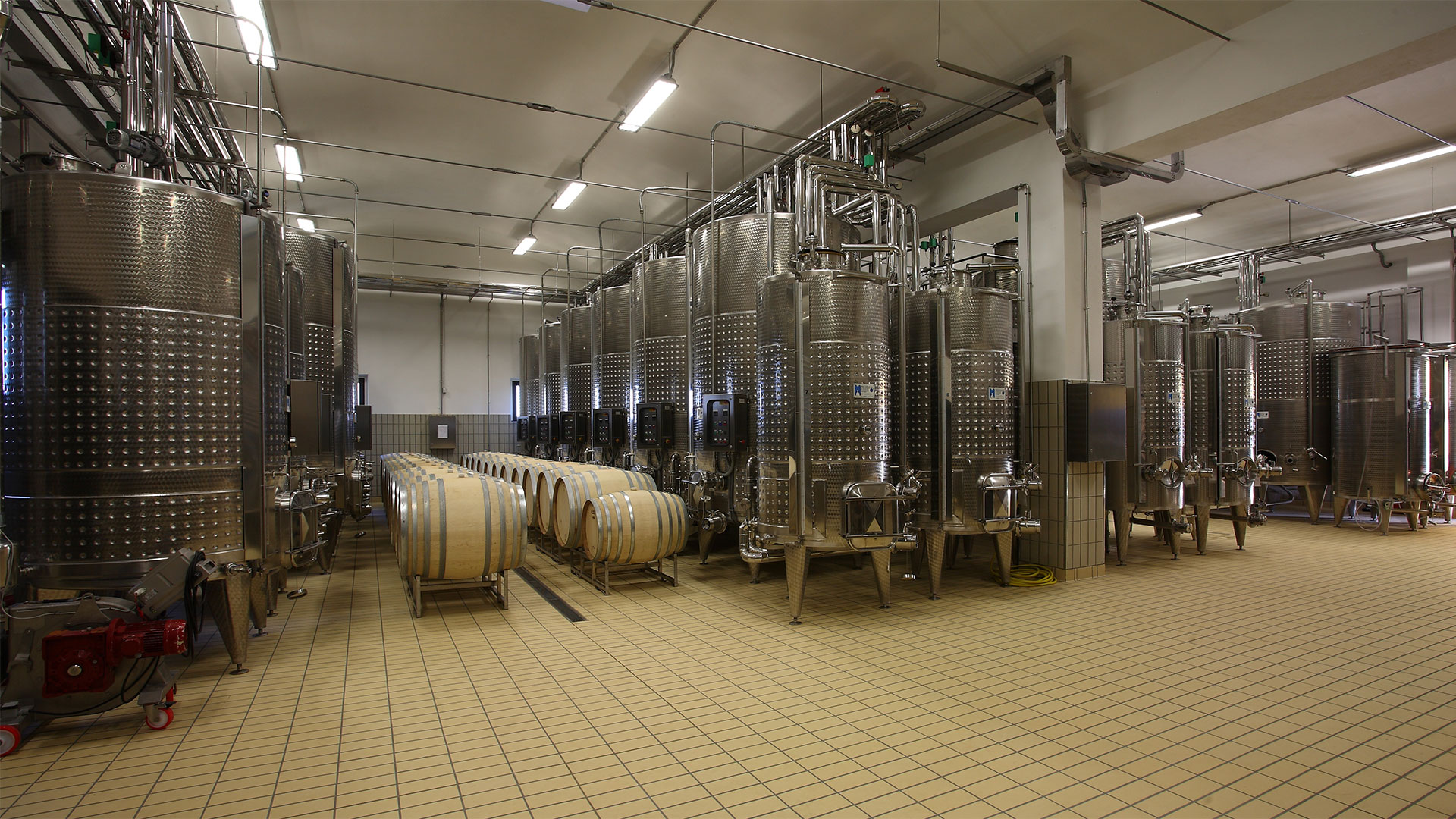 Tenuta di Frassineto - Tuscan Winery / Wine Tasting and shop / Cantina Toscana ad Arezzo - foto 3