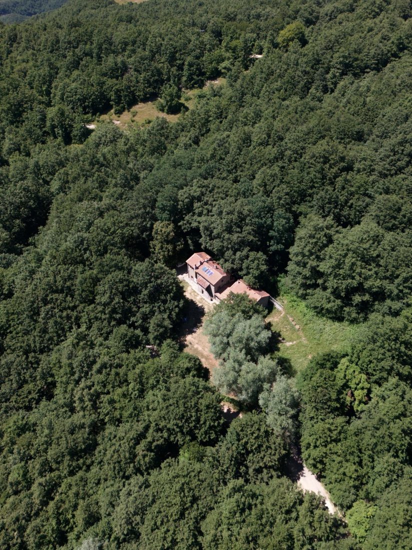 Fattoria di Germagnano - foto 5