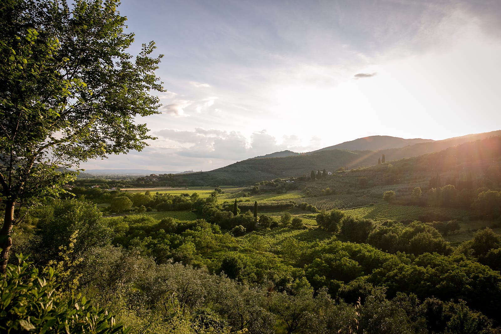 Agriturismo Le Capanne della Valle - foto 4