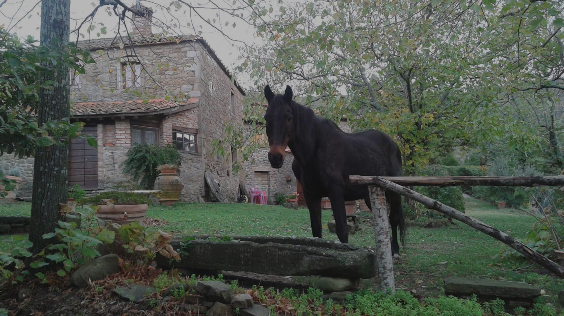 Agriturismo Cà d'Argella Cortona - Agriturismo Arezzo - foto 4