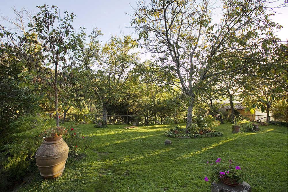 Agriturismo Cà d'Argella Cortona - Agriturismo Arezzo - foto 6