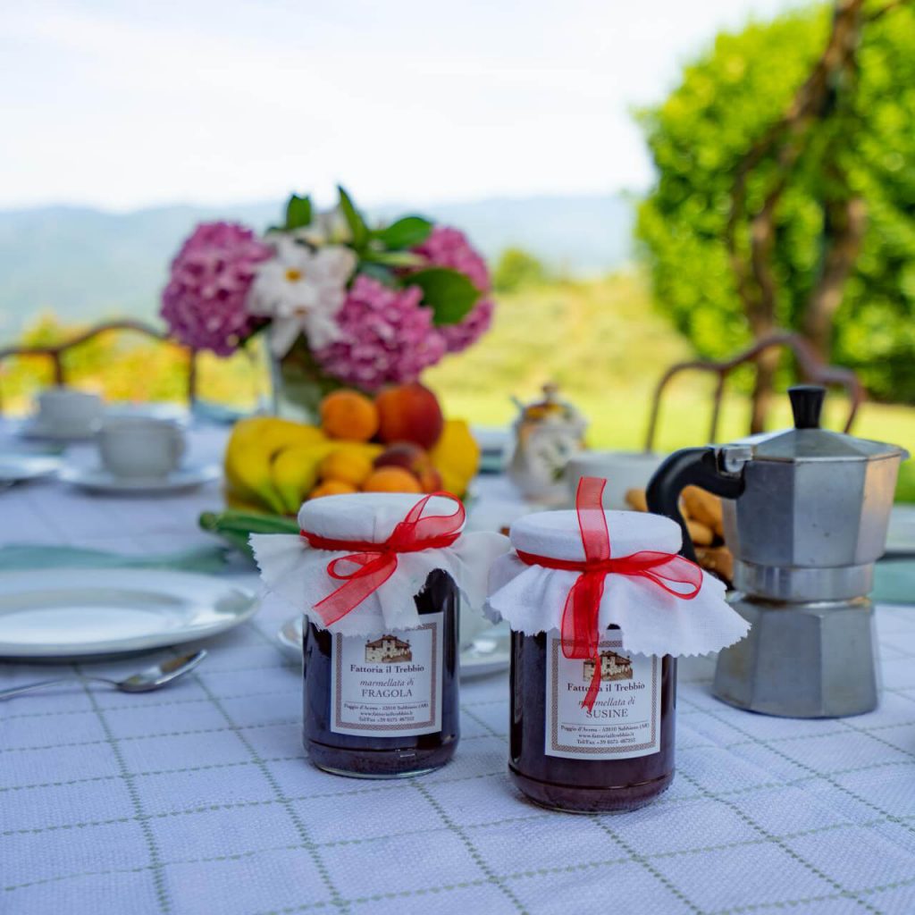 Fattoria Il Trebbio - foto 3