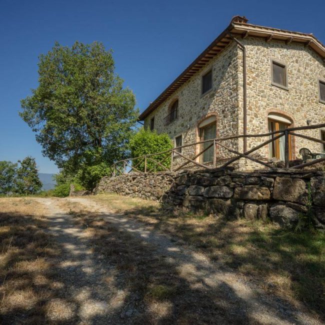 Fattoria Il Trebbio - foto 5