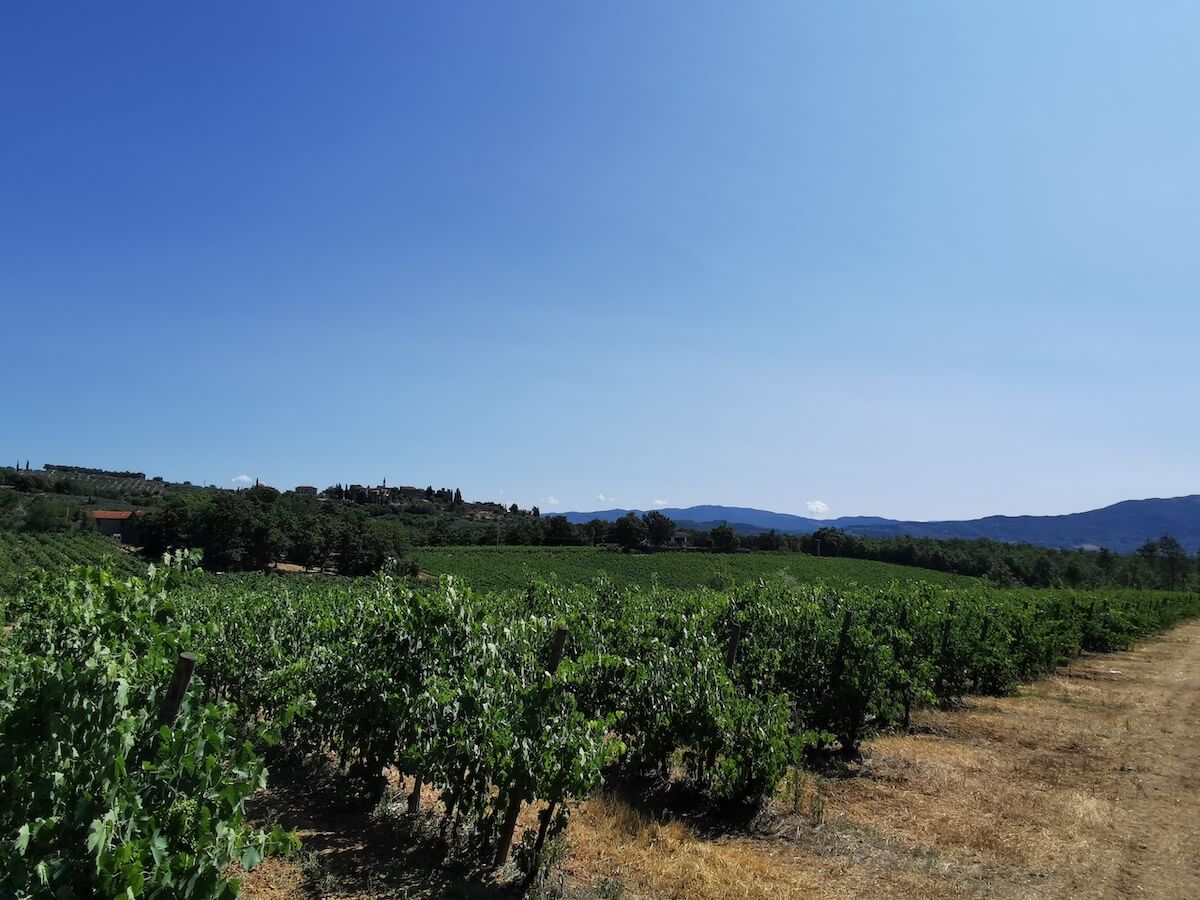 Tenuta La Cella - foto 3
