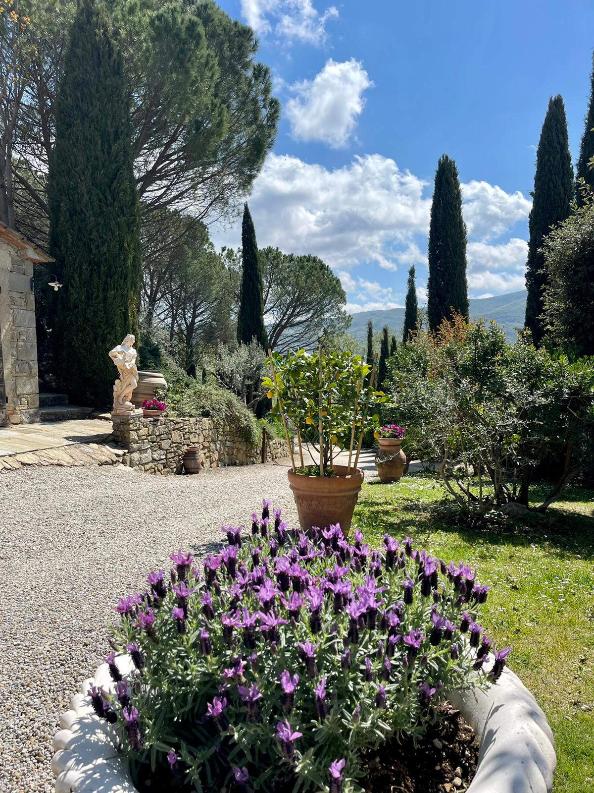 Borgo Dolci Colline - Agriturismo e Ristorante - foto 6