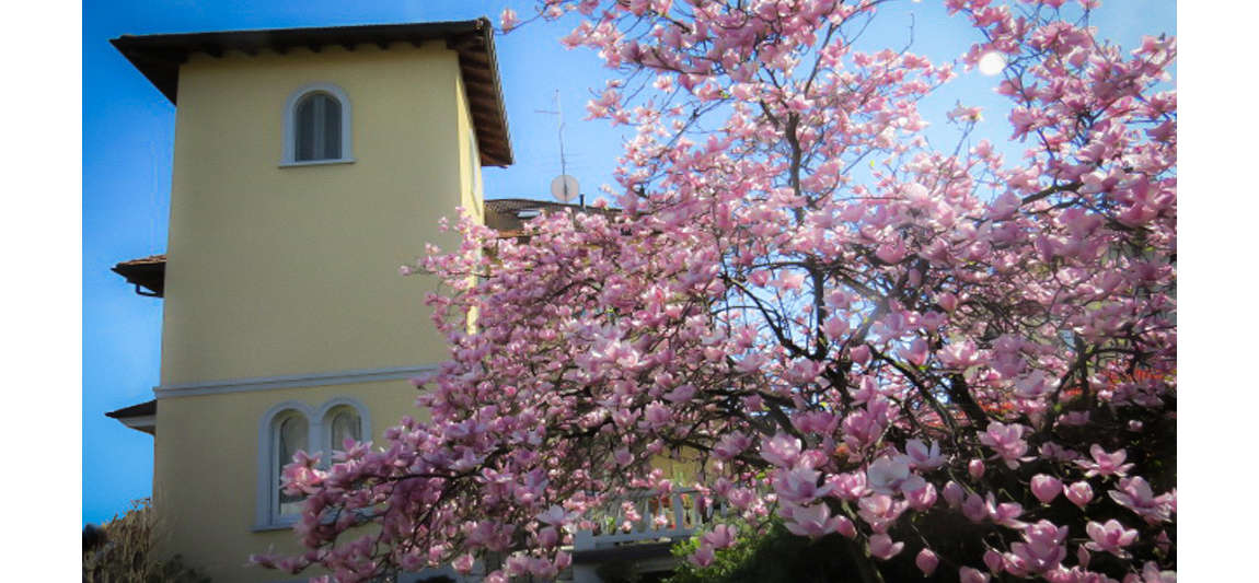 Villa Virginia - foto 3