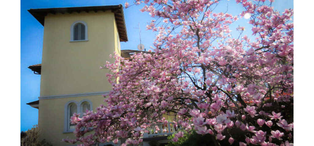 Villa Virginia - foto 4