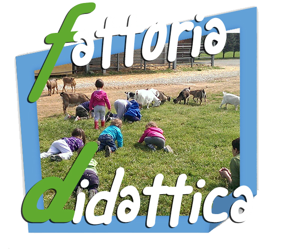Agriturismo Ai Boschi - foto 1
