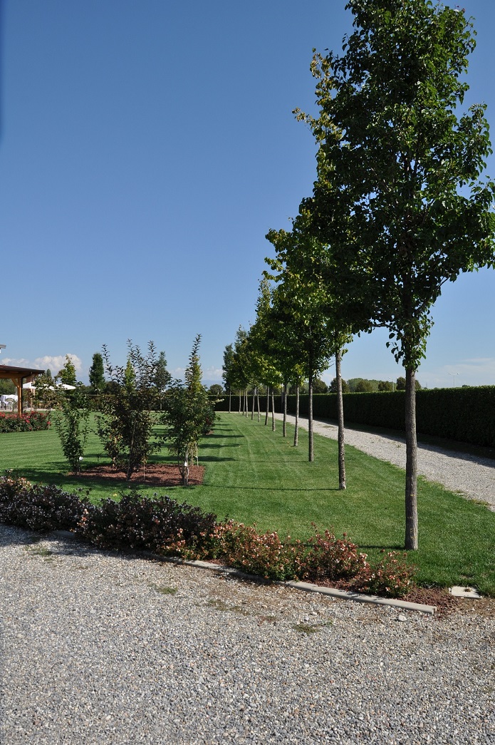 Agriturismo & Azienda Agricola "Il Granaio" - foto 2