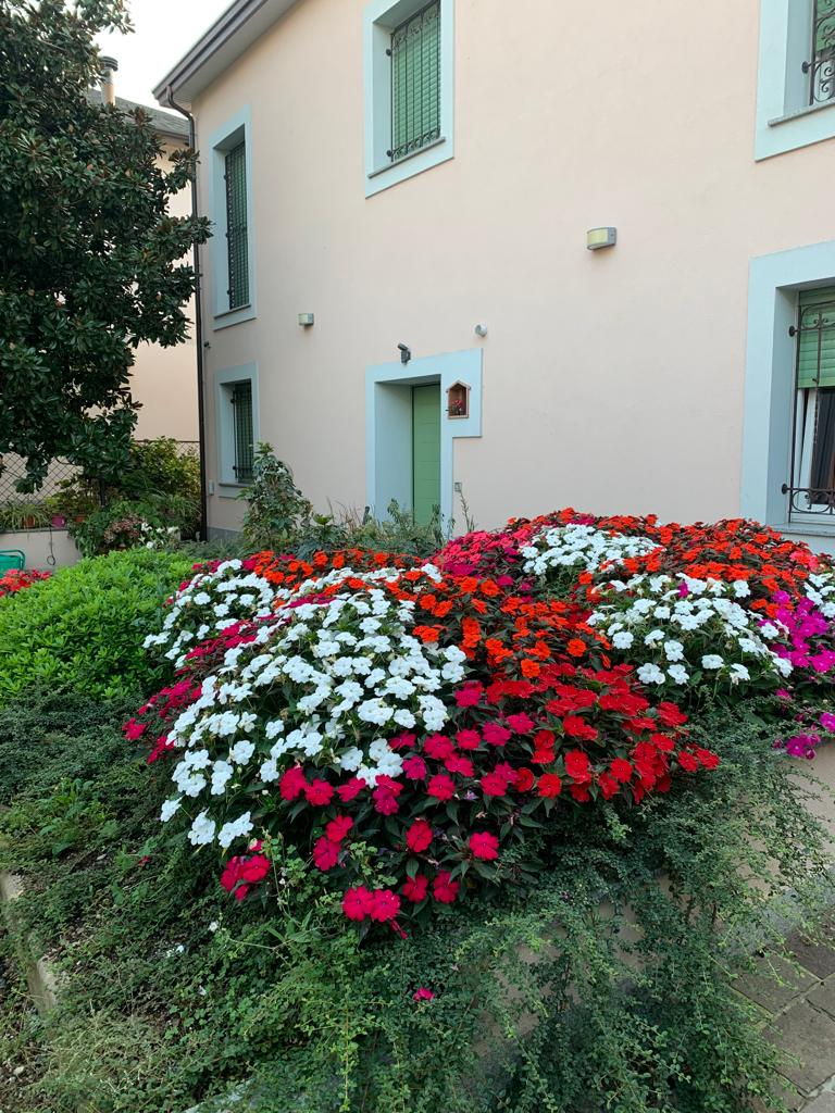 B&B La Scala Rho - foto 4