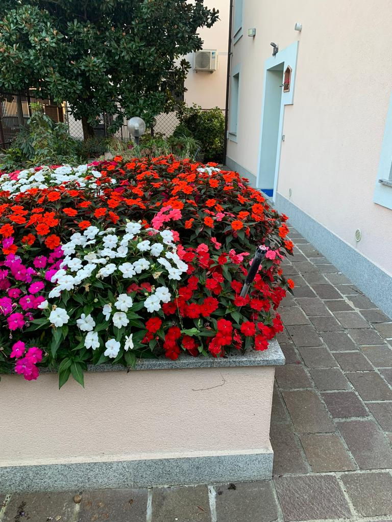 B&B La Scala Rho - foto 5