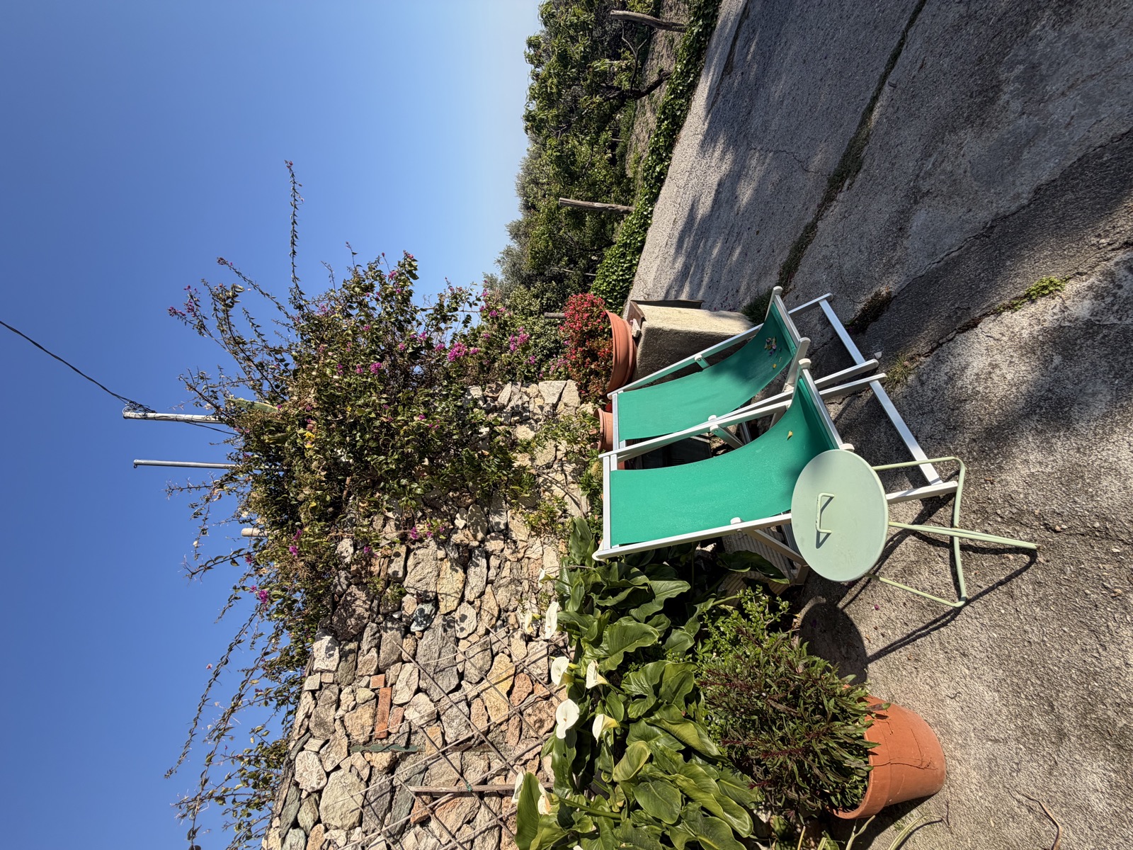 Agriturismo La Selva - foto 4