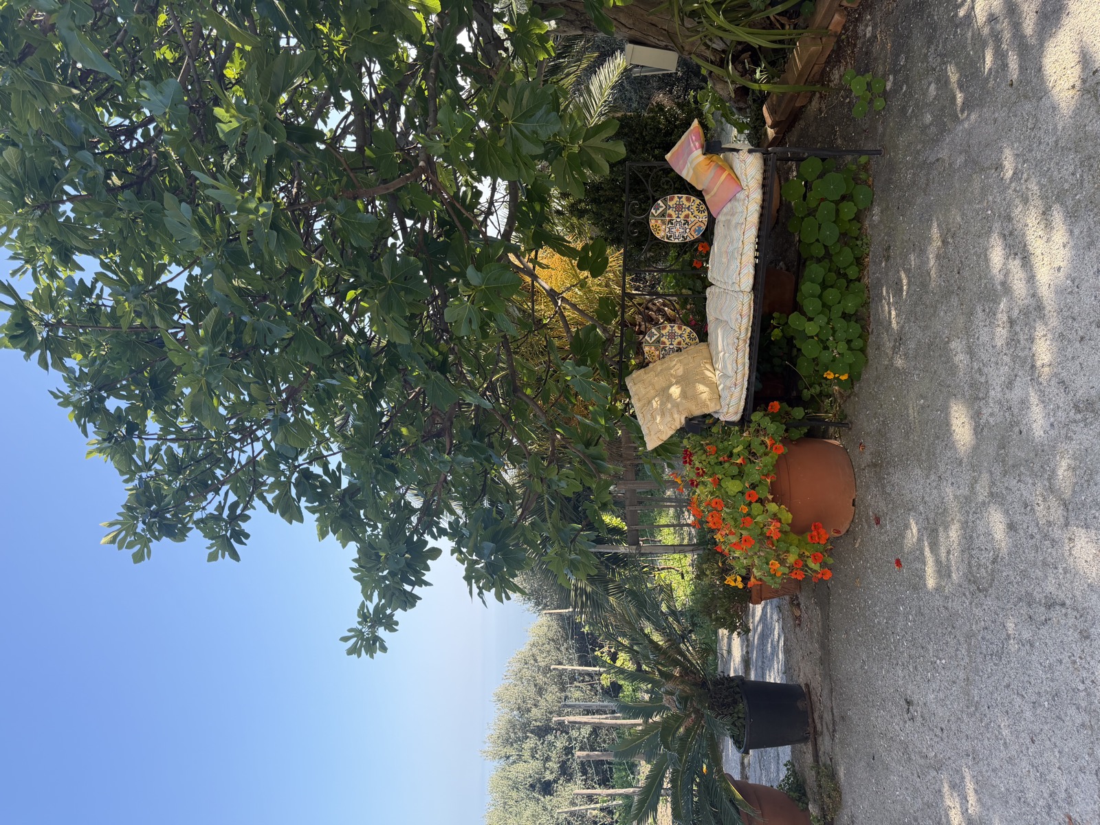 Agriturismo La Selva - foto 5
