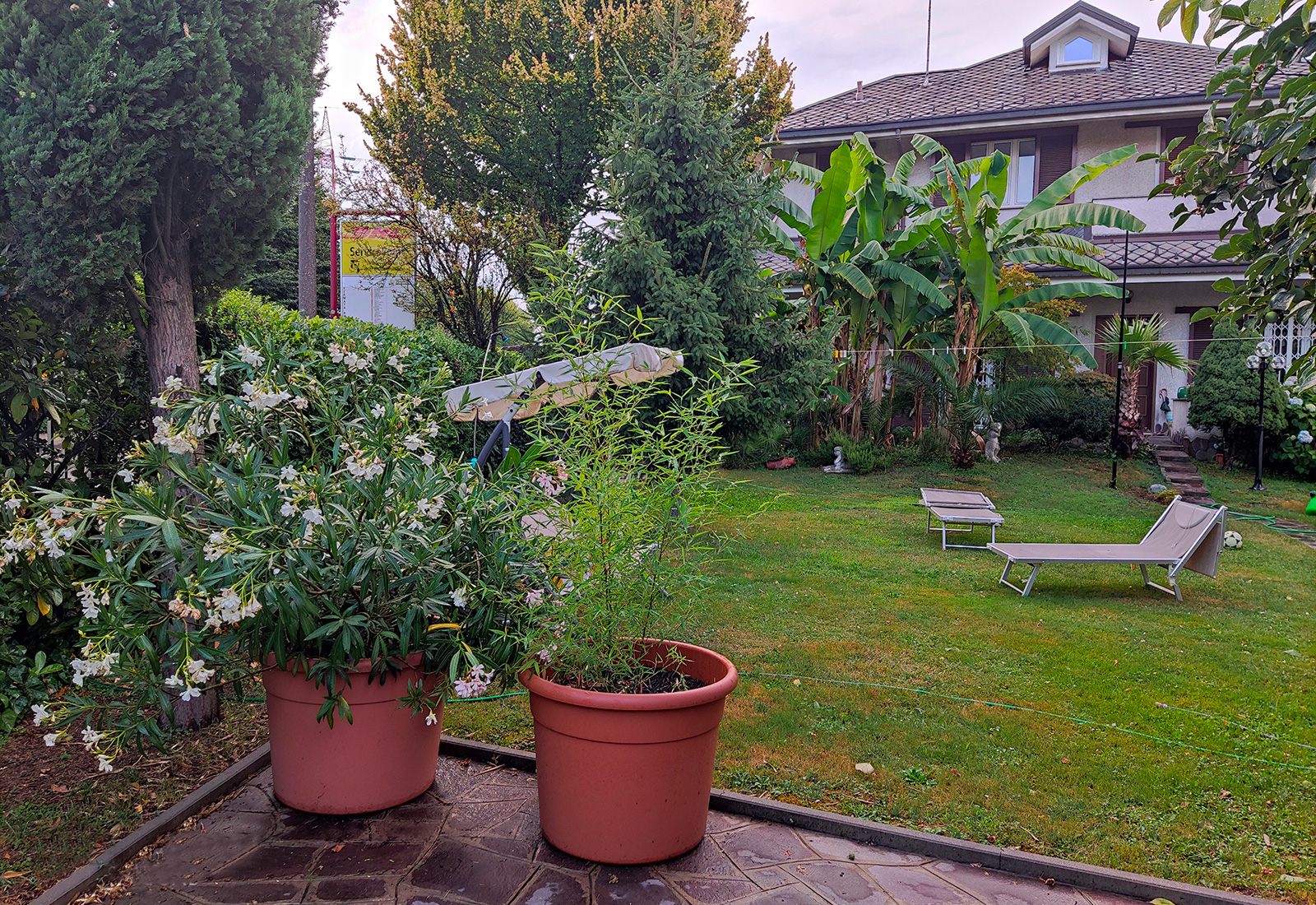 B&B Ariosto 26 - foto 1