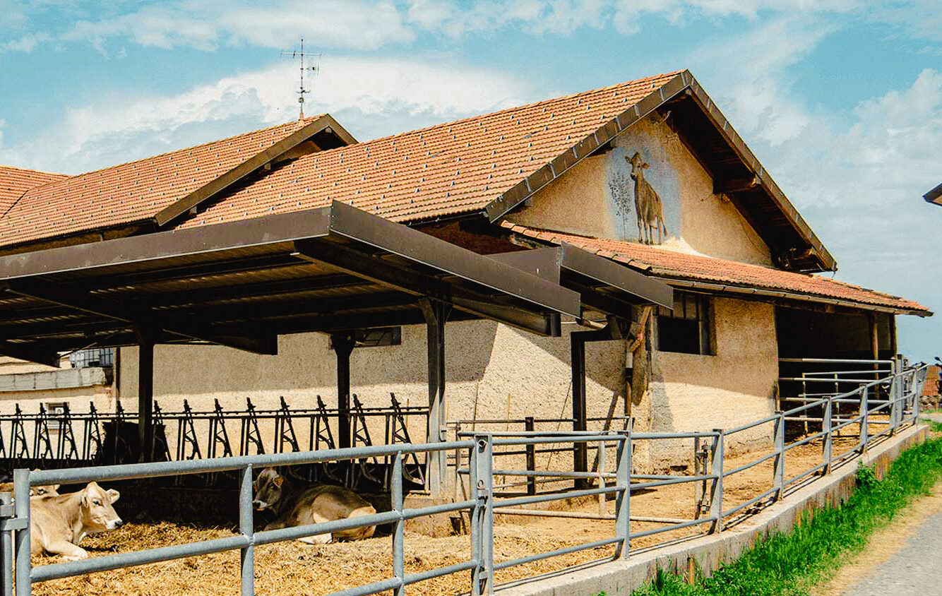 Azienda Agricola Lavagè - foto 6