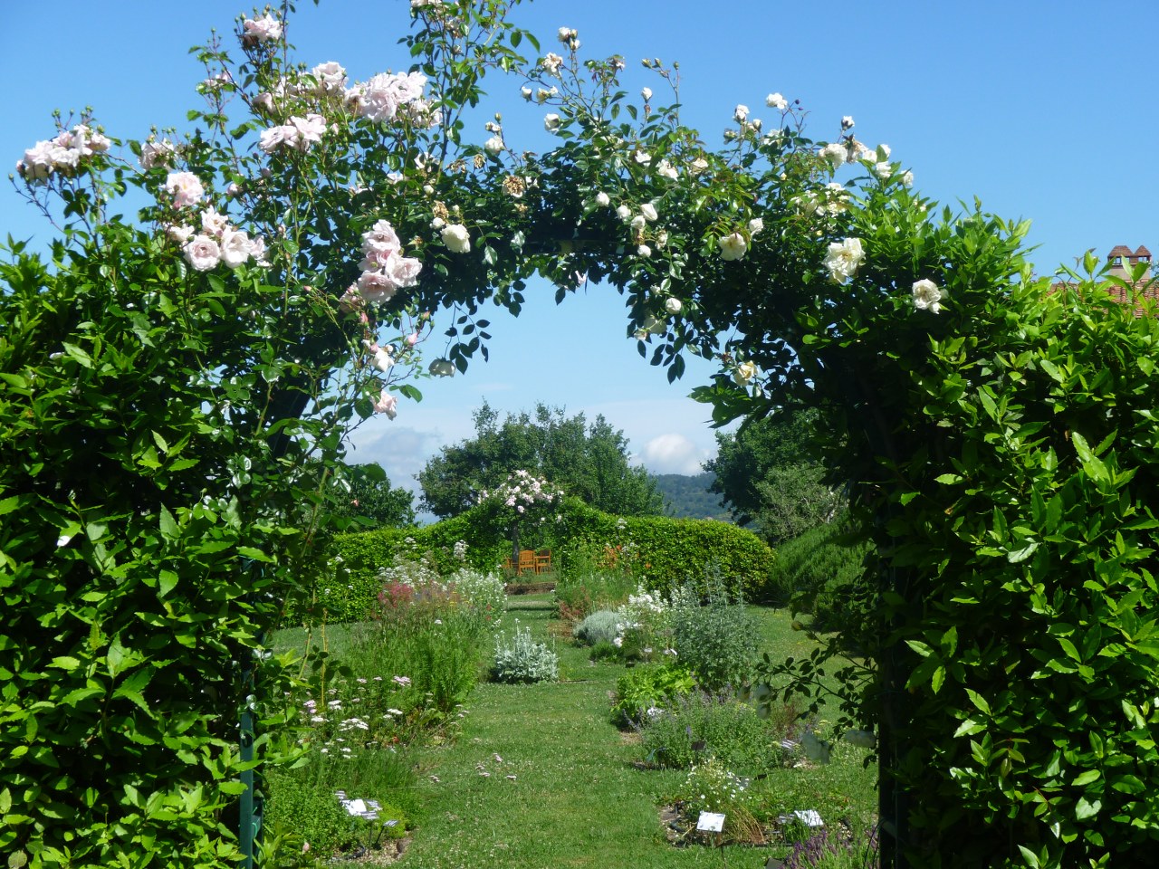 Agriturismo Odina - foto 4