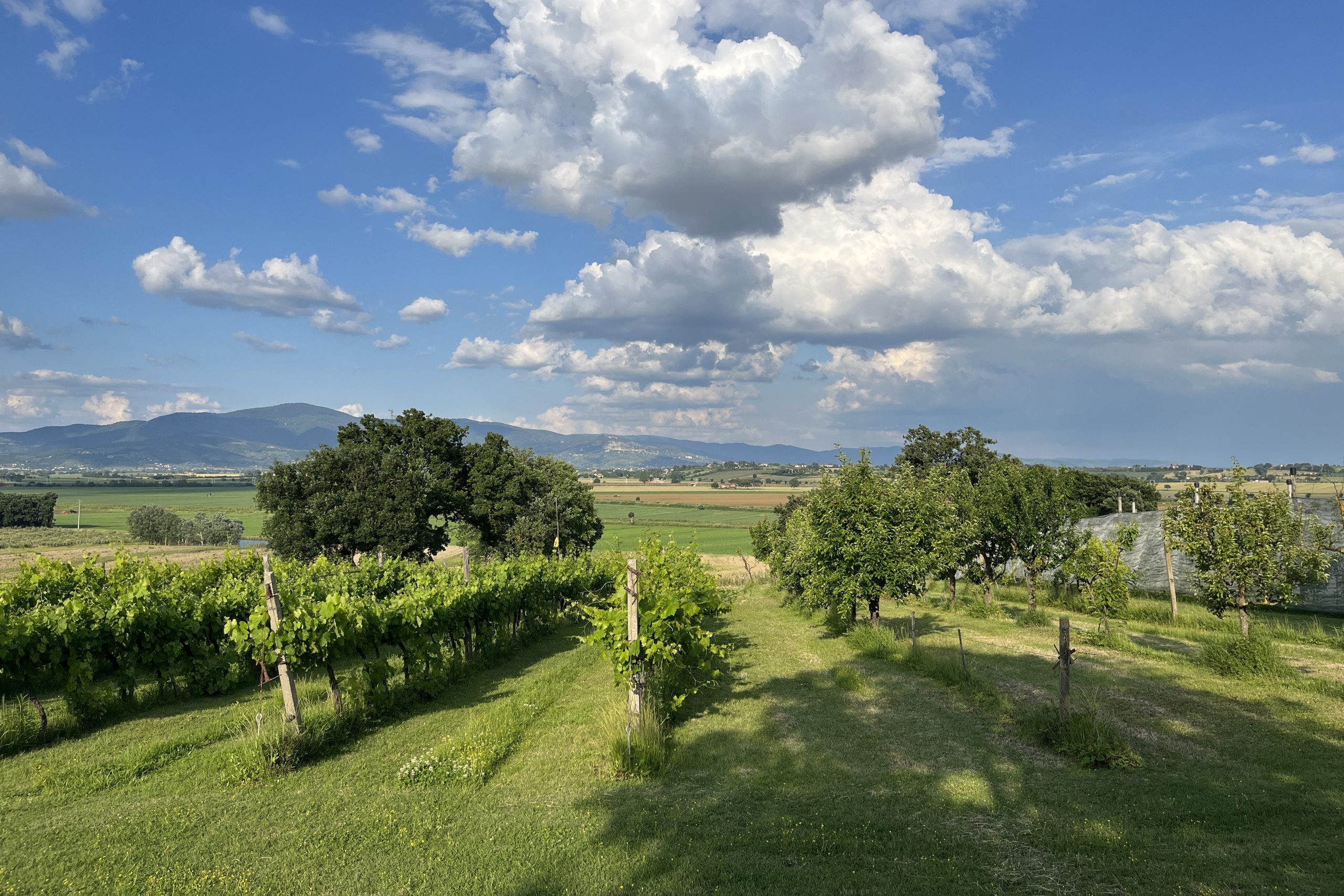 Agriturismo San Francesco - foto 1