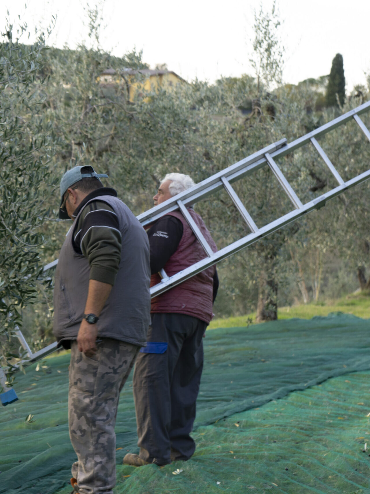Azienda Agricola La Querce - foto 6