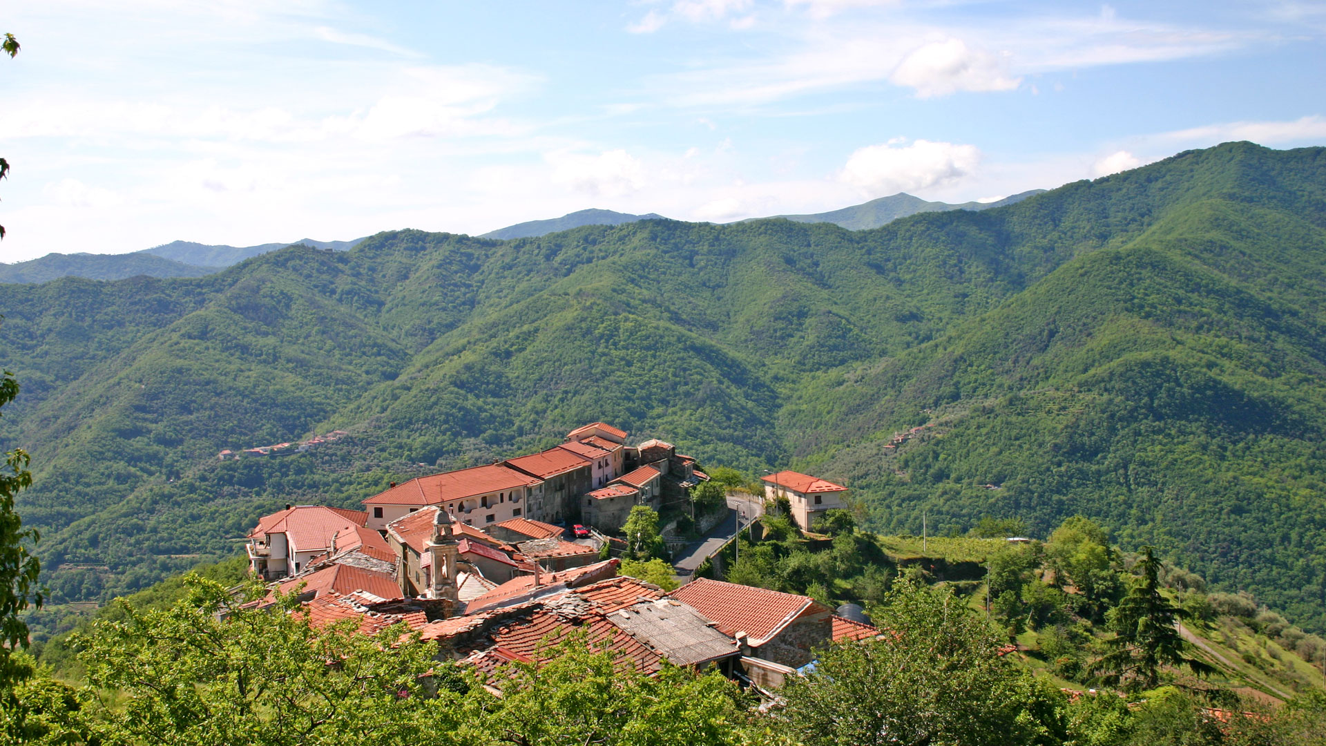 AGRITURISMO LA FATTORIA - foto 1