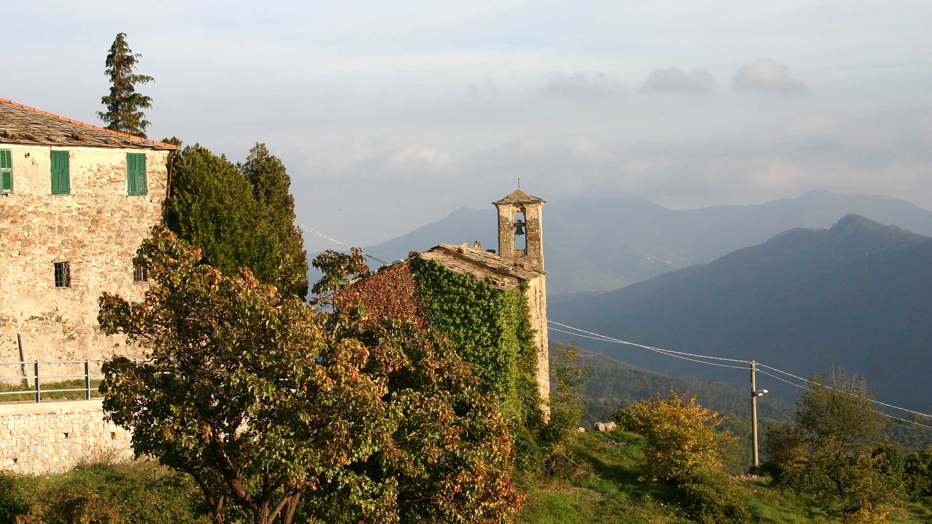 AGRITURISMO LA FATTORIA - foto 5