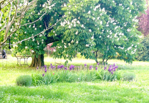 Villa Villani - foto 1