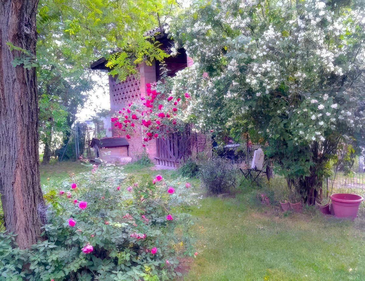 B&B Casale Bondanello - foto 1
