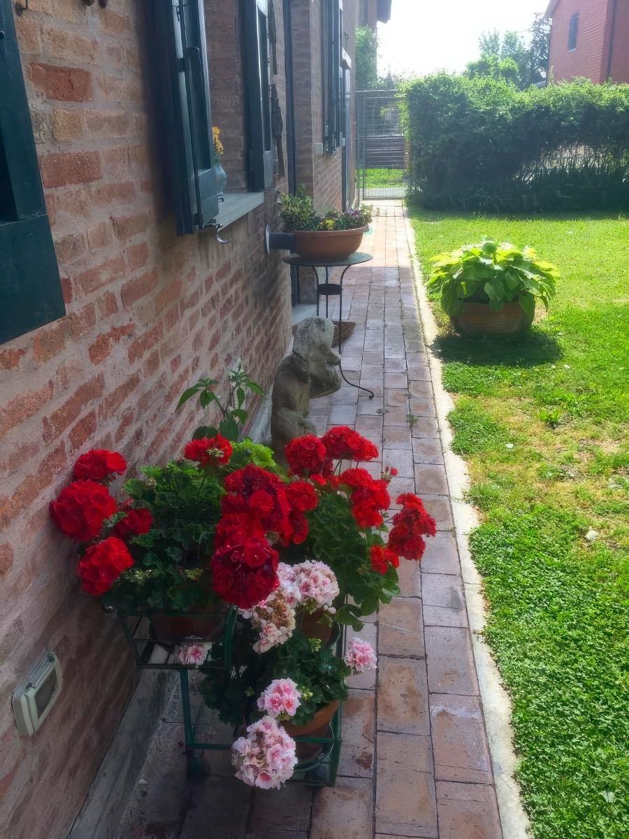 B&B Casale Bondanello - foto 5