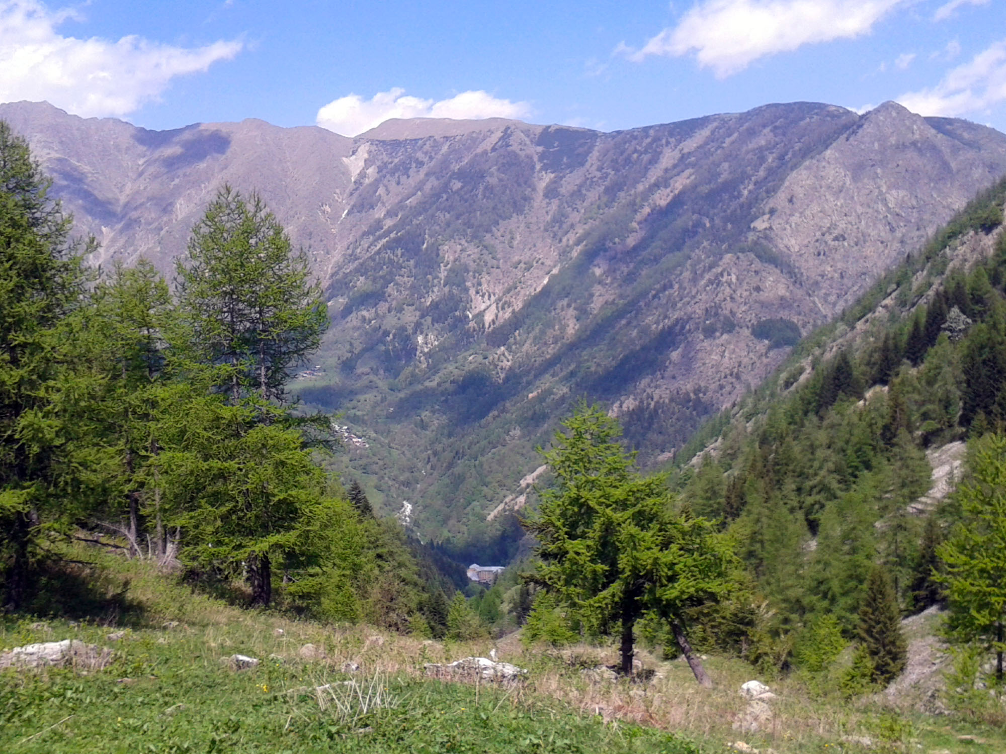 Lou Loop - foto 3