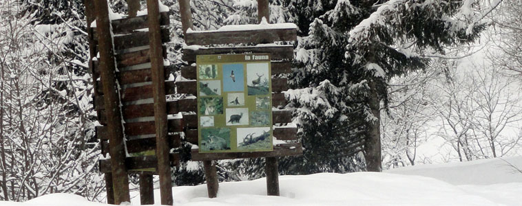 La Tana Della Marmotta - foto 1