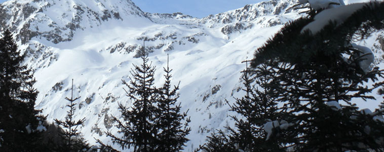 La Tana Della Marmotta - foto 4