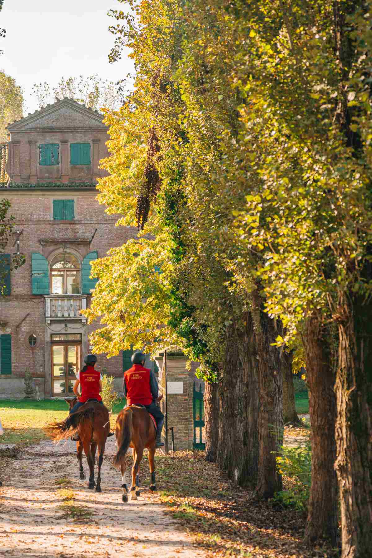 Villa Veneta Tenuta Ca' Zen - foto 4