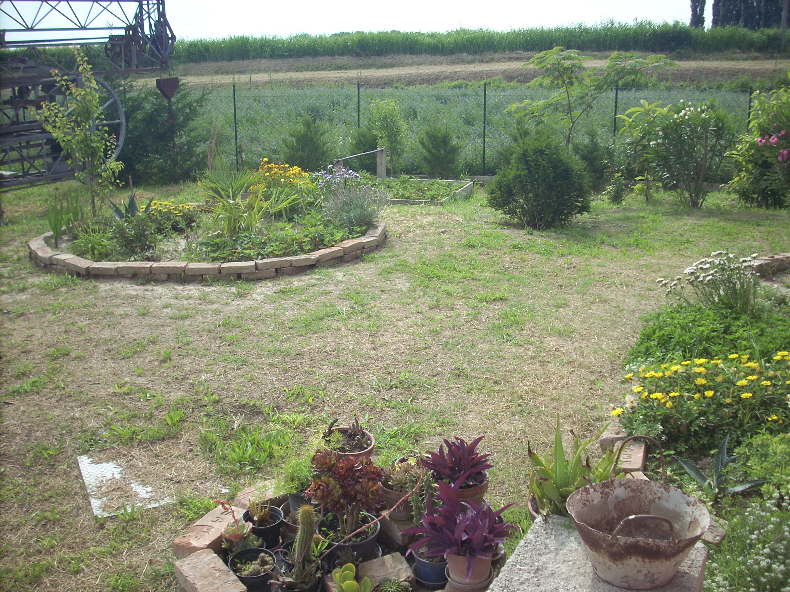 B&B Da Toni - foto 2