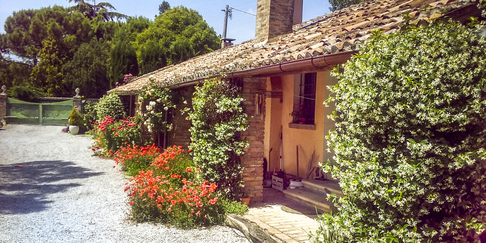 B&B Casina Badoer - foto 5