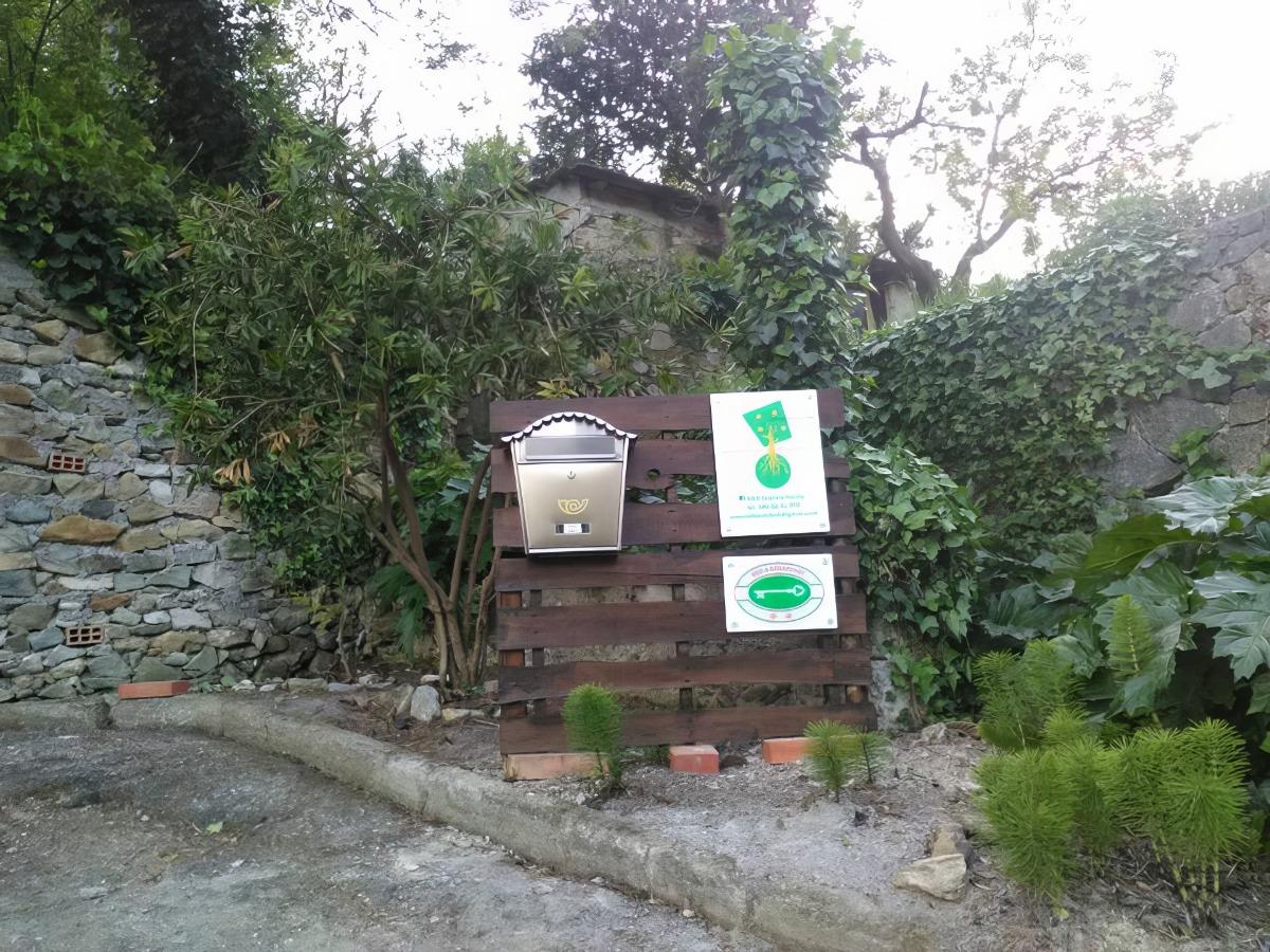 B&B Arancio Fiorito foto 5