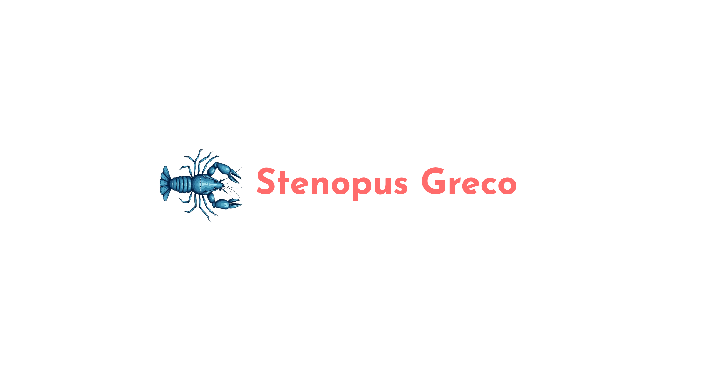 Stenopus Greco - foto 1