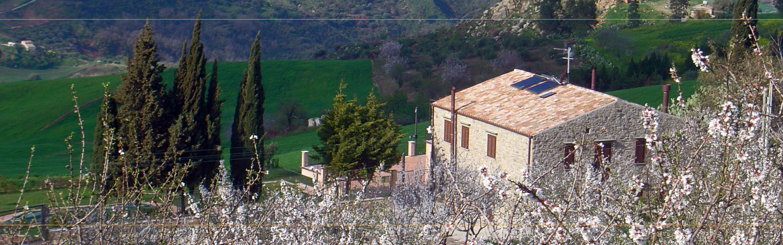 Agriturismo Cicala Giuseppe Faso - foto 5