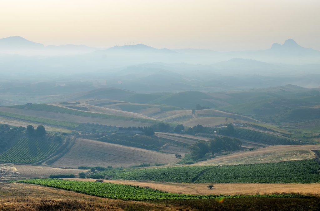 Agriturismo Antichi Granai - foto 4