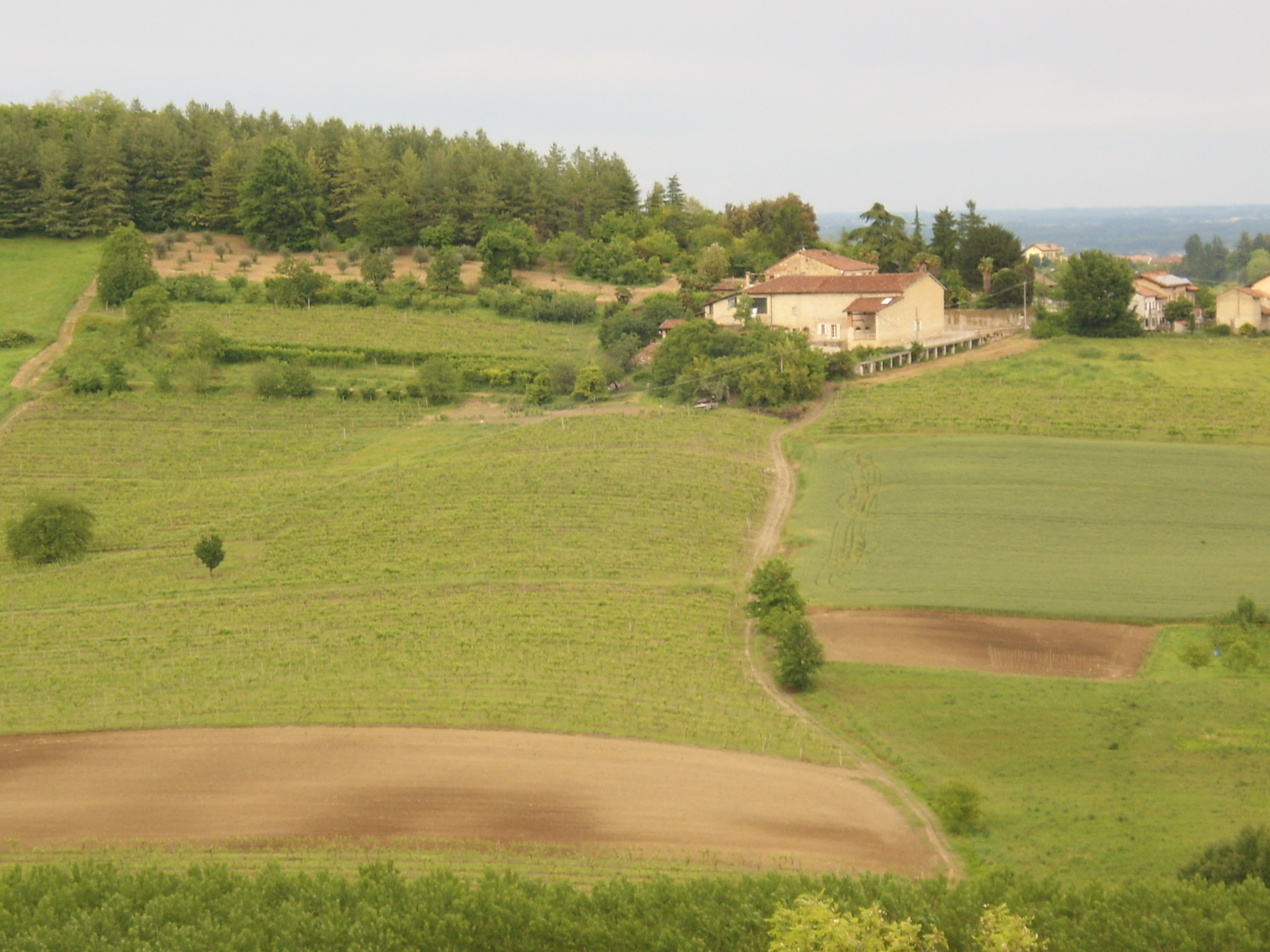 Cascina Montalbano - foto 1