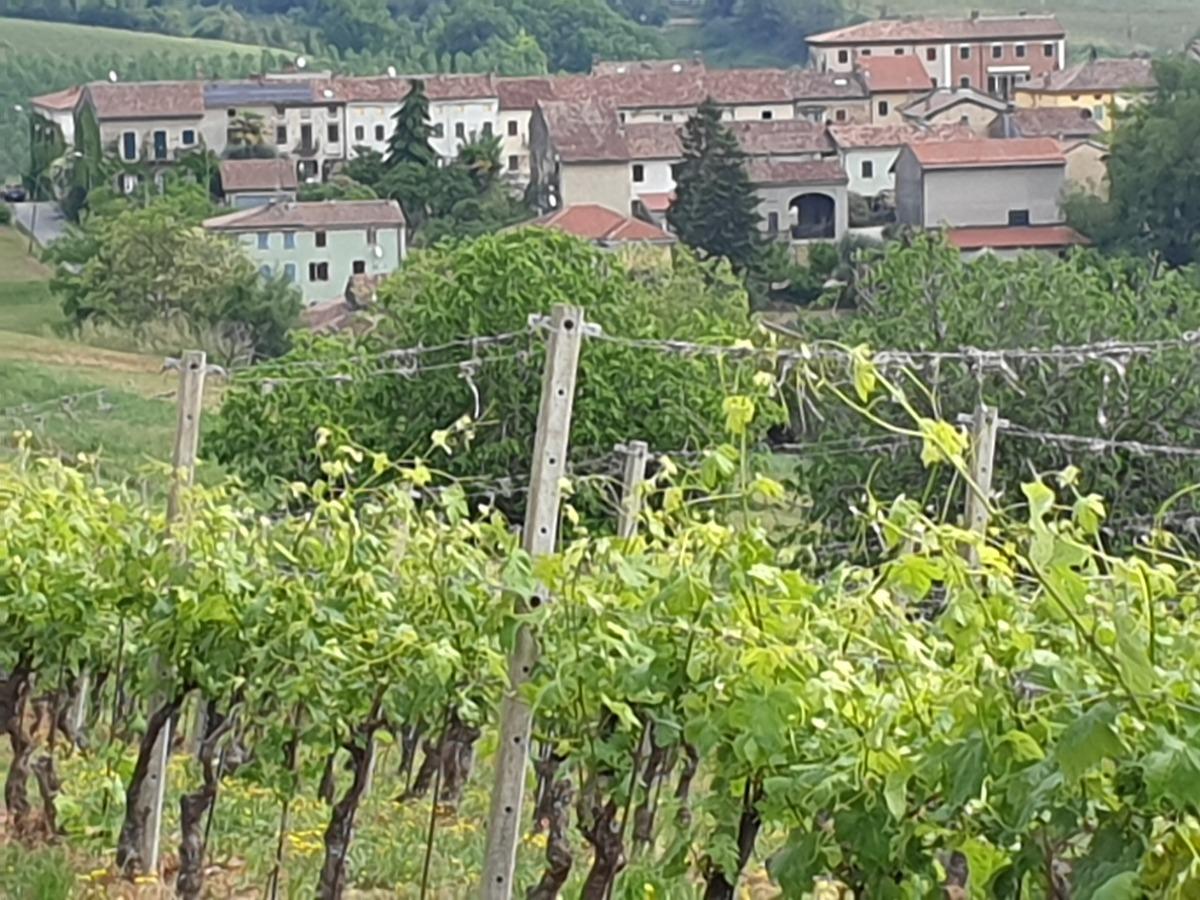 B&B L' Angolo Fiorito - foto 3