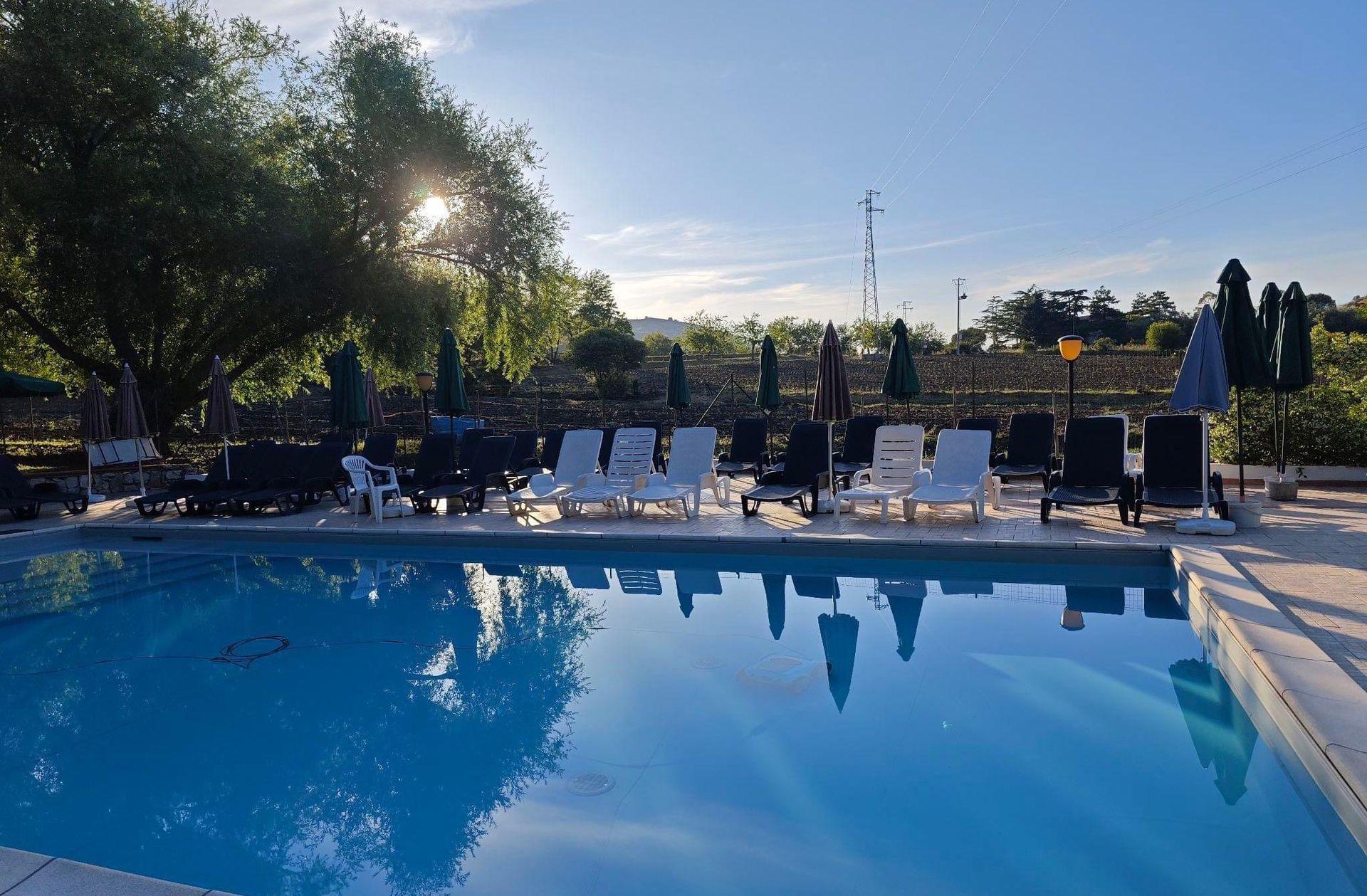 Agriturismo Villa Mirto foto 6