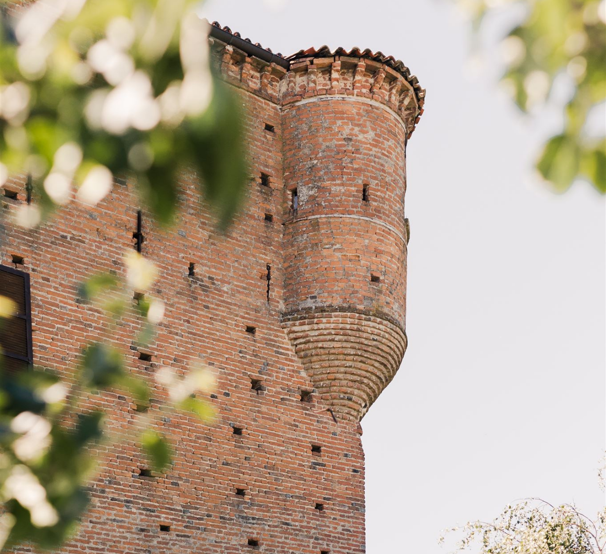 Ma che bel Castello - Azienda Agricola foto 1